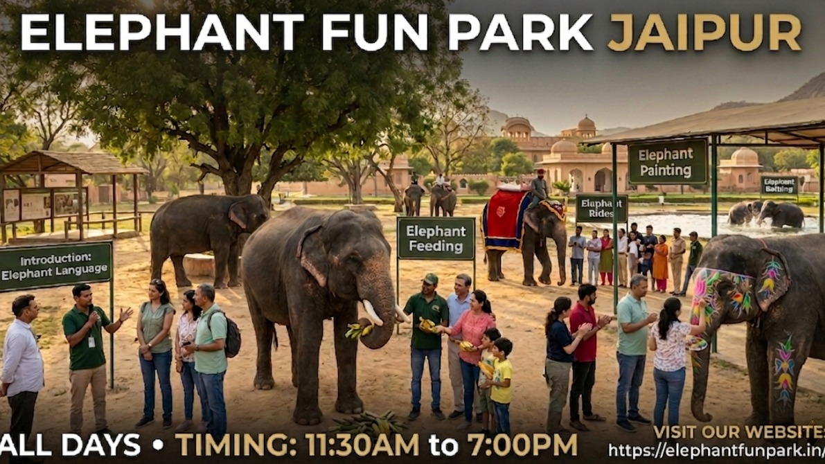 Elephant Fun Park - Jaipur