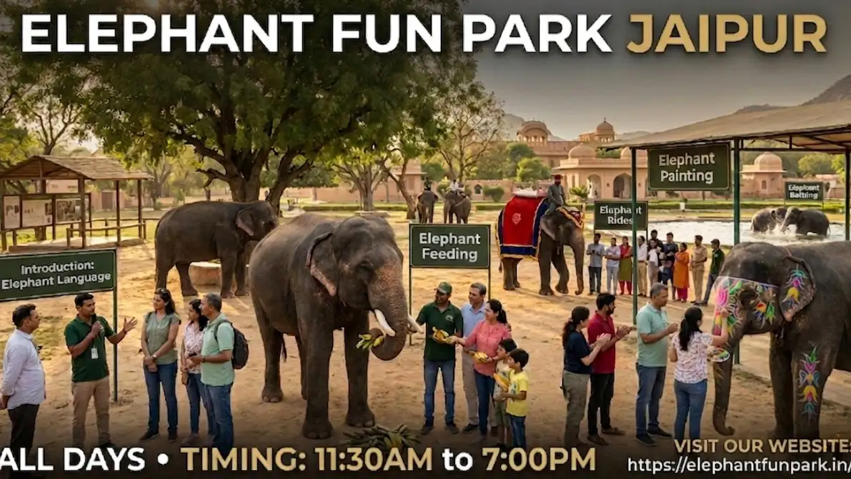 Elephant Fun Park - Jaipur
